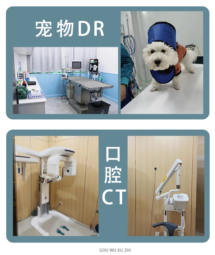 1704518194532543.jpg 6.jpg